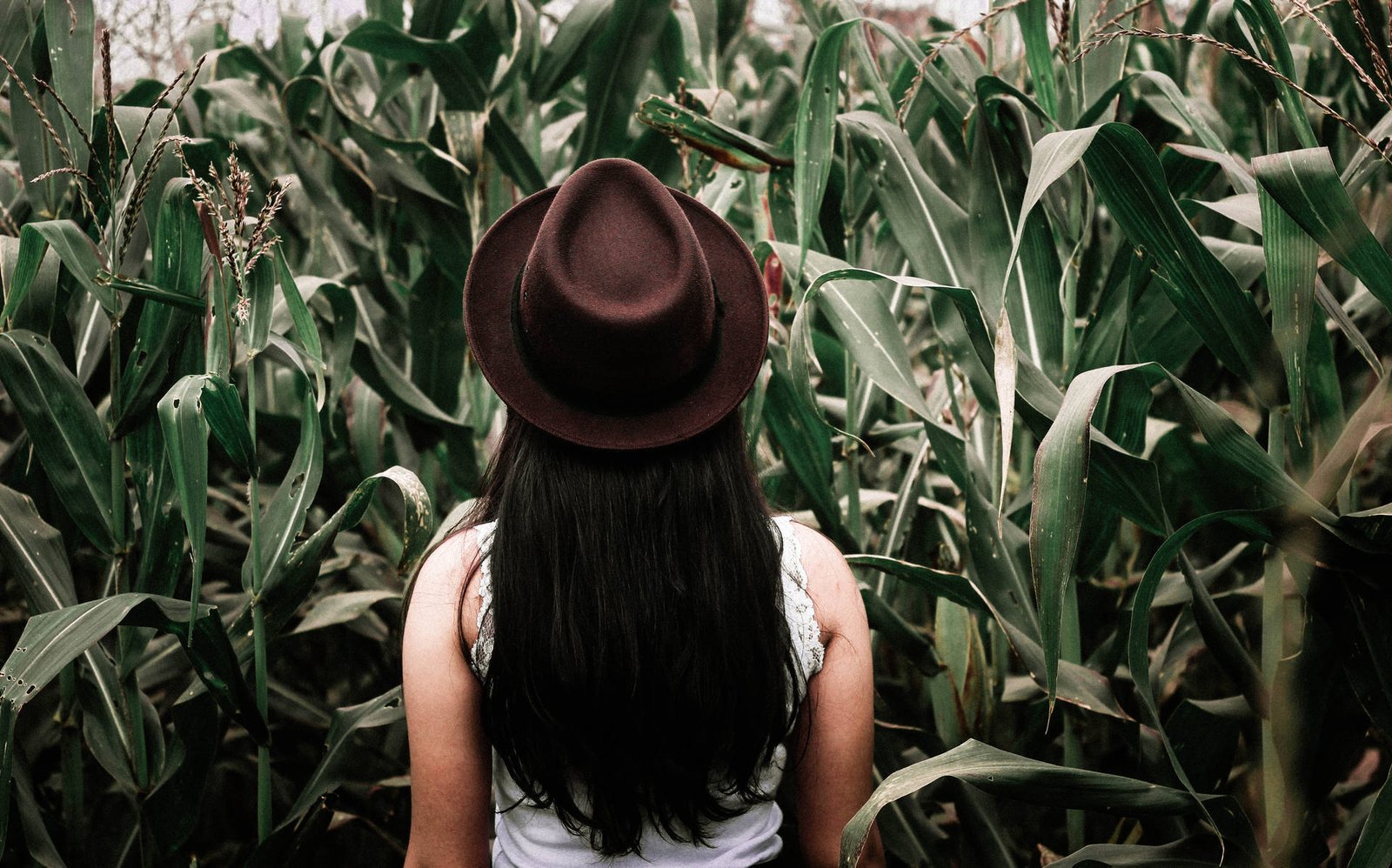 Ways by Which Your Partner Impacts Your Life: Therapist Explains